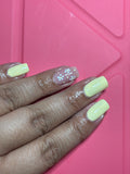 Daisies